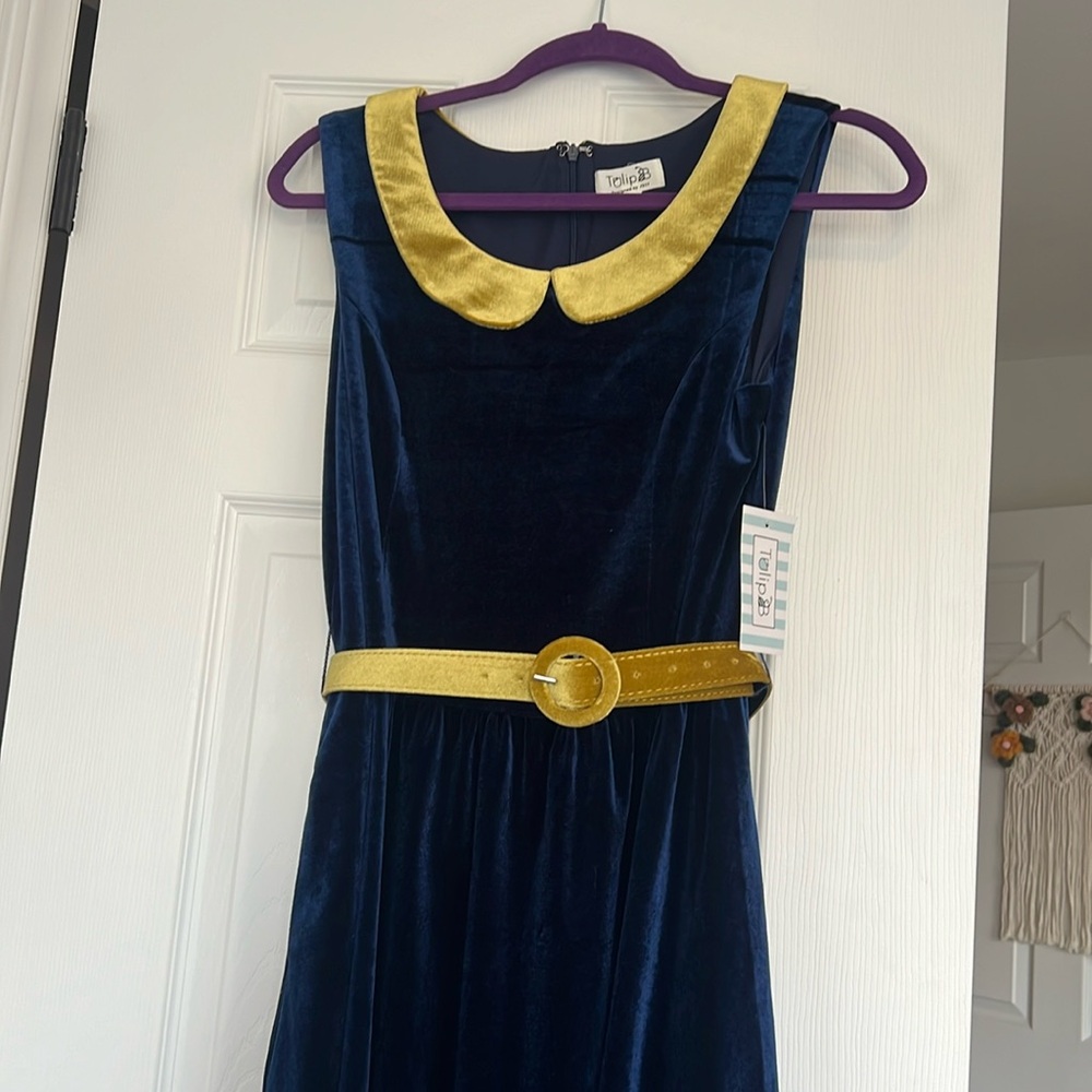 Navy and Gold Velvet Dress. NWT. Peter Pan Collar Tulip B